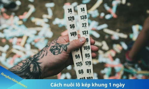 Nuôi lô kép khung 1 ngày hiệu quả nhất 2 lô kép khung 1 ngày