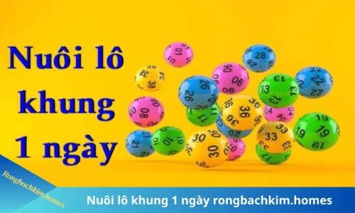 Nuôi lô khung 1 ngày chuẩn xác nhất 1 lô khung 1 ngày